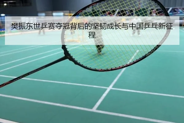 樊振东世乒赛夺冠背后的坚韧成长与中国乒乓新征程